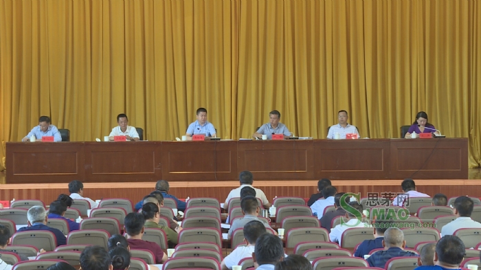 区政府副区长石萍对思茅区迎接国家卫生城市省级复审工作进行全面安排